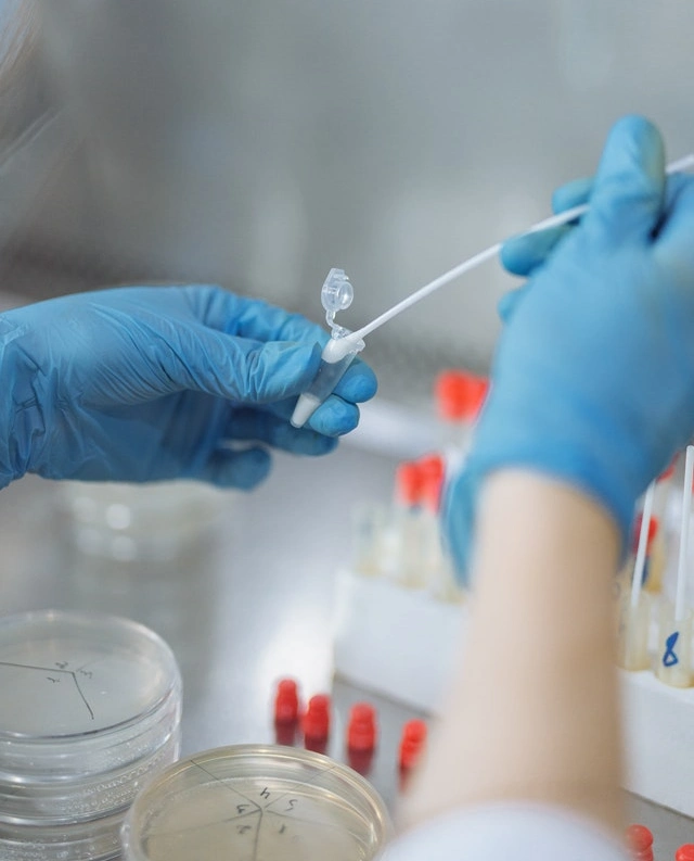 El Putxet Veterinarios barcelona parvovirus pruebas en laboratorio
